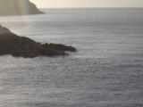 Calf%20and%20Sound%20of%20Man%2002.JPG