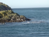 Seanic%20IOM%2029%20small.JPG