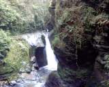 Waterfall%2002%20small.JPG
