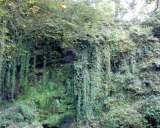 Waterfall%2004%20small.JPG