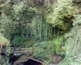 Waterfall%2005%20small.JPG