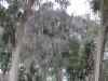 DSC00320.JPG (1495416 bytes)