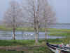 DSC00329.JPG (1511632 bytes)