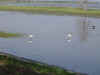 DSC00337.JPG (1228348 bytes)