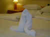 DSC00374.JPG (1285733 bytes)