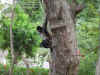 DSC00418.JPG (1479989 bytes)