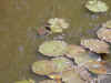 DSC00454.JPG (1389088 bytes)